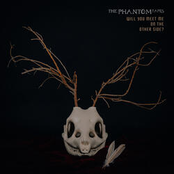 Will You Meet Me On The Other Side?