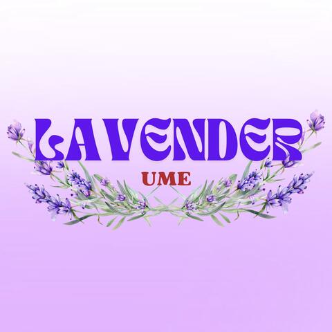 LAVENDER
