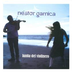 Guitarra de Salavina