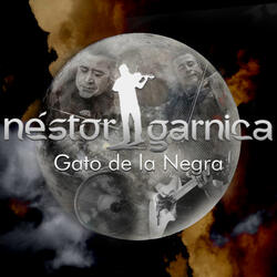 Gato de la Negra