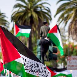 Eld Swedish Palestinian Anti ZionistÂ