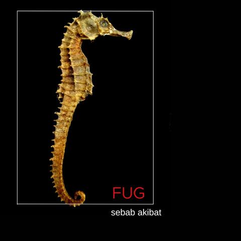 Sebab - Akibat