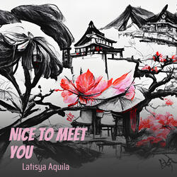 Nice To Meet You