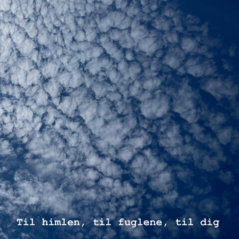 Til himlen, til fuglene, til dig