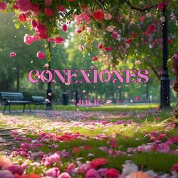 Conexiones