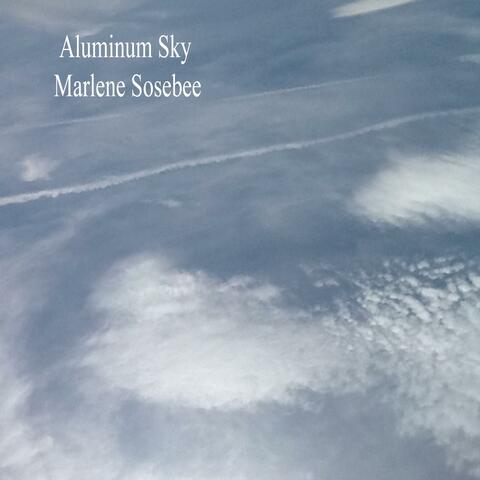 Aluminum Sky