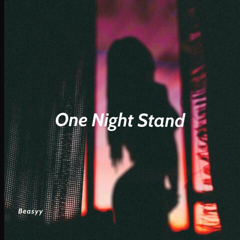 One Night Stand