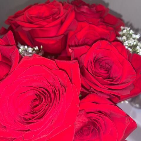 Vibes From The Stars