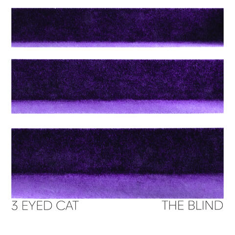 The Blind