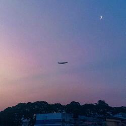 Fiz Eles Pagarem Com a Própria Lábia