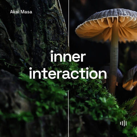 Inner Interaction