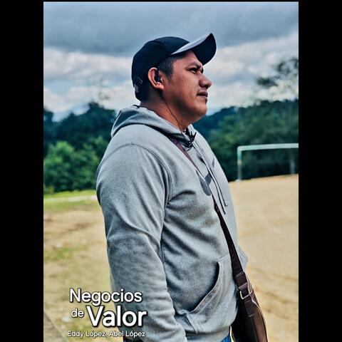 Negocios de Valor