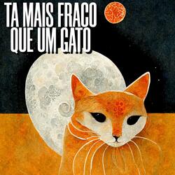 TA MAIS FRACO QUE UM GATO