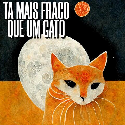 TA MAIS FRACO QUE UM GATO