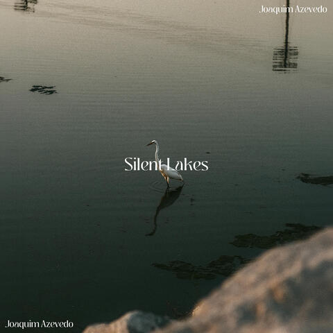 Silent Lakes