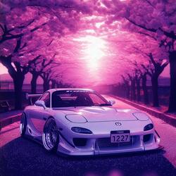 Sakura Drift