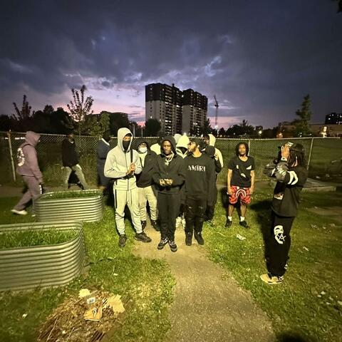 Blitz
