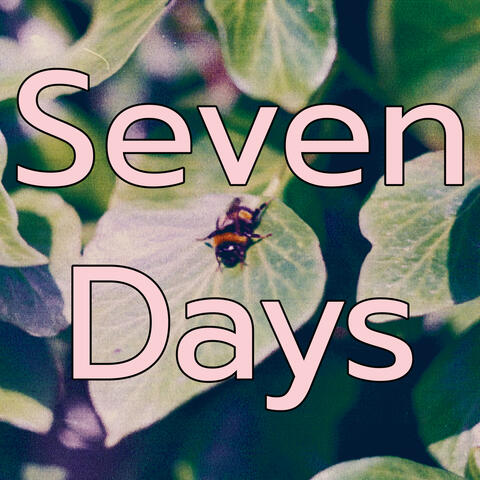 Seven Days
