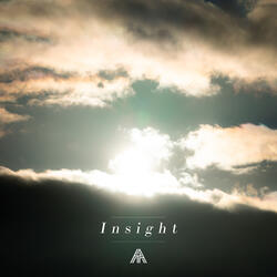 Insight