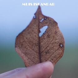 Alone again 2