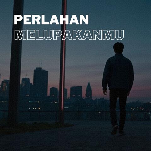 Perlahan melupakanmu