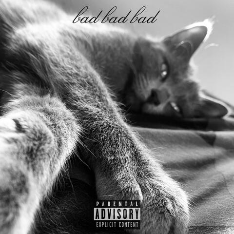 bad bad bad