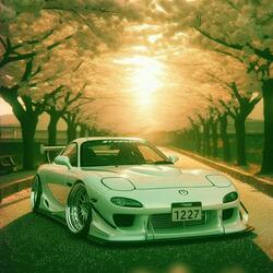 Sakura Drift