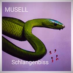Schlangenbiss