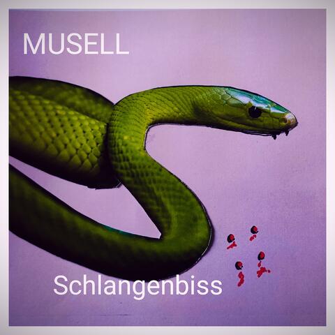 Schlangenbiss