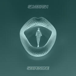 Serpentine