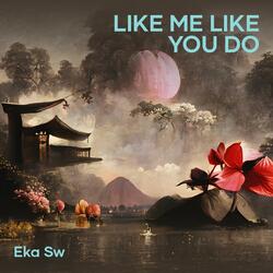 Like Me Like You Do