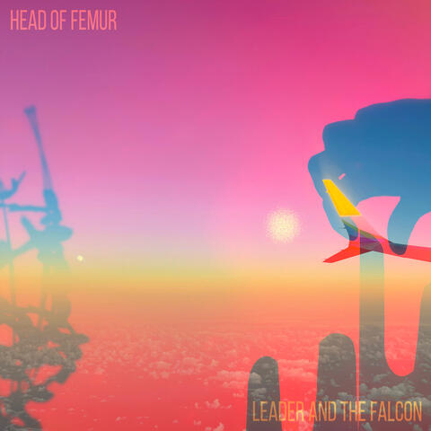 Leader and the Falcon