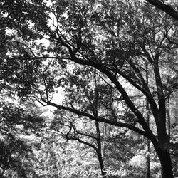 In Front of Fortress of unknown