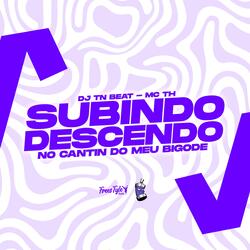 Subindo Descendo - No Cantin Do Meu Bigode