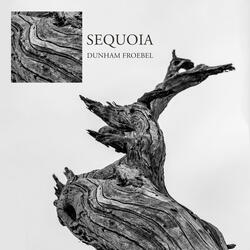 Sequoia