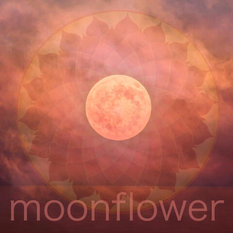 moonflower