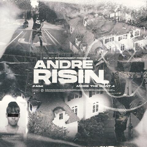 ANDRE RISIN #AG4