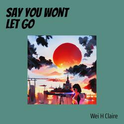 Say you wont let go