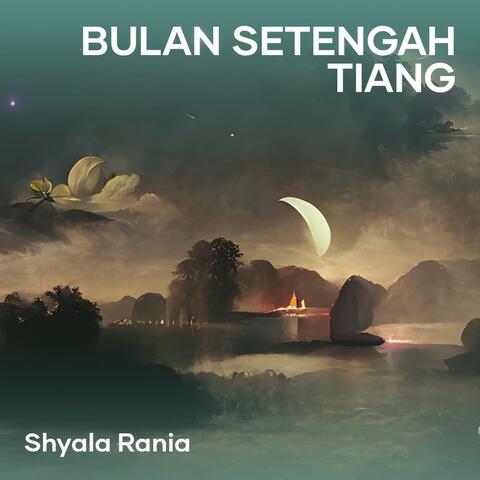 Bulan setengah tiang