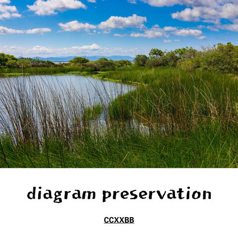 diagram preservation