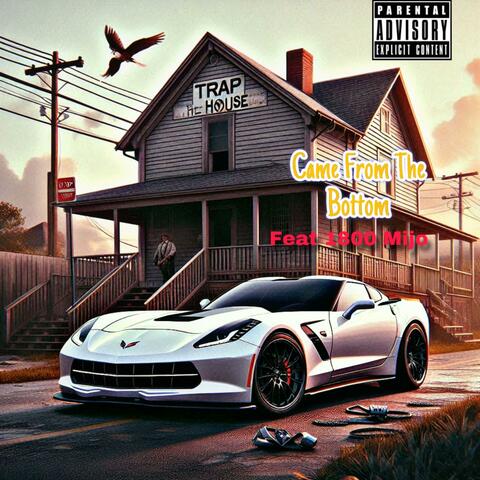 Came From The Bottom