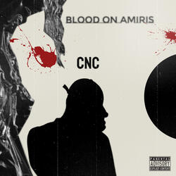 BLOOD ON AMARIS