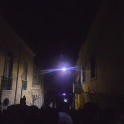 andorinha