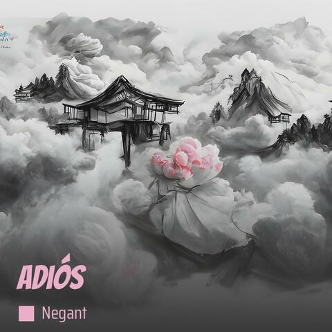 Adiós