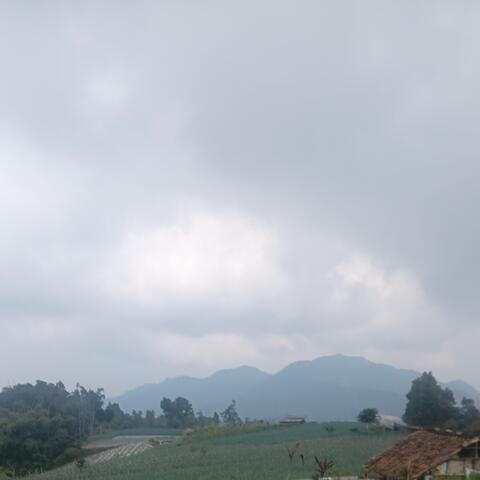 Hilang