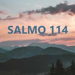 SALMO 114 - ANDAREI NA PRESENÇA DE DEUS, JUNTO A ELE NA TERRA DOS VIVOS