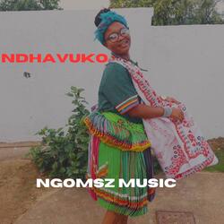 Ndhavuko