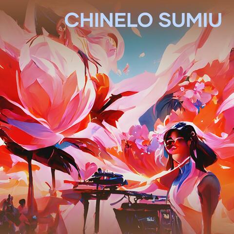 Chinelo Sumiu