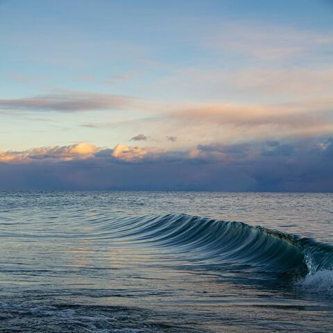 Silent Reverie Reminiscence