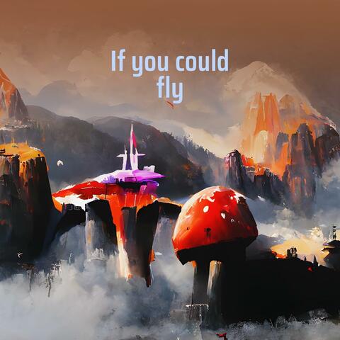 If you could fly
